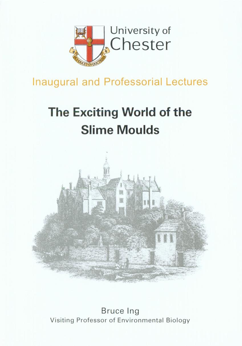 The Exciting World of Slime Moulds